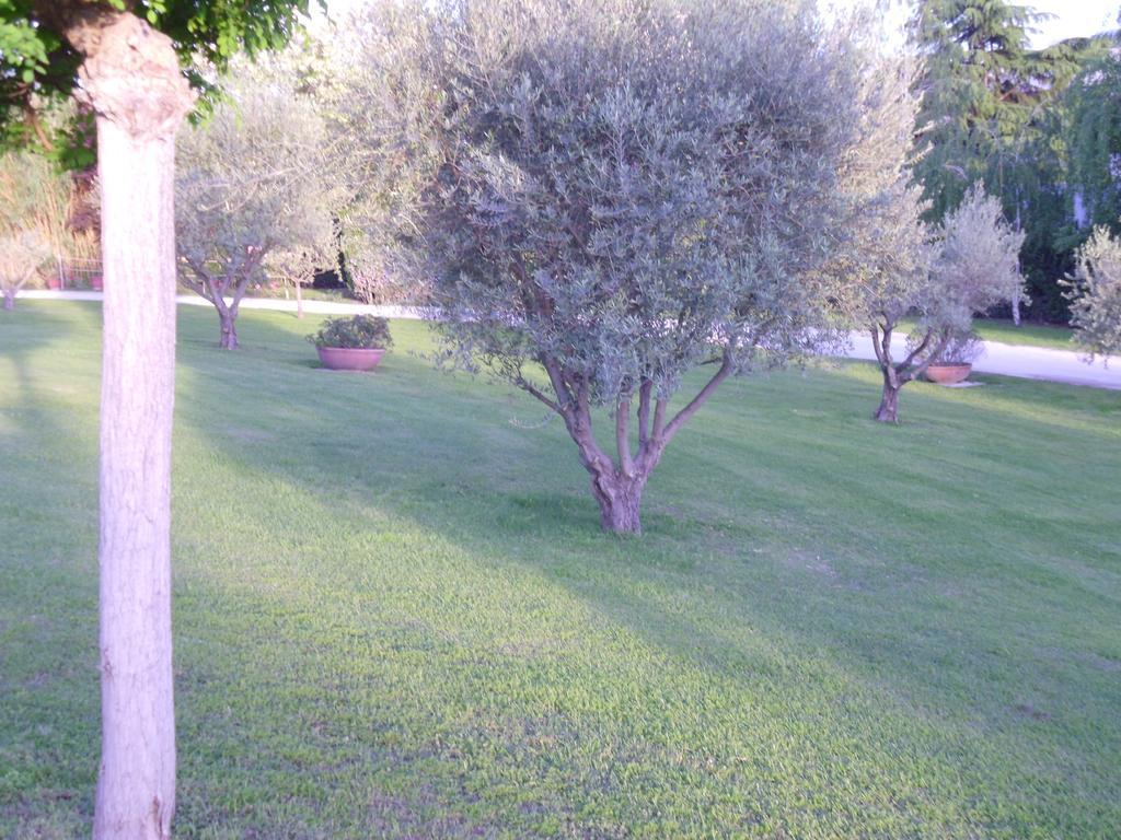 Pensión Luxardotel Roma