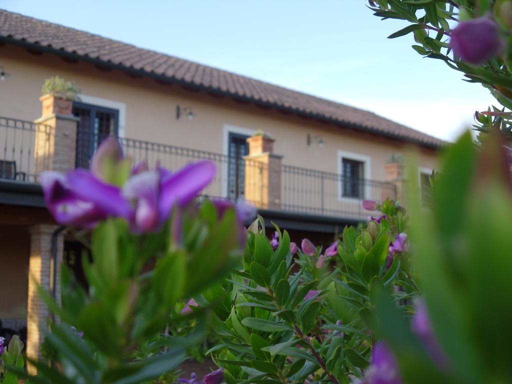 Casa de hóspedes Luxardotel